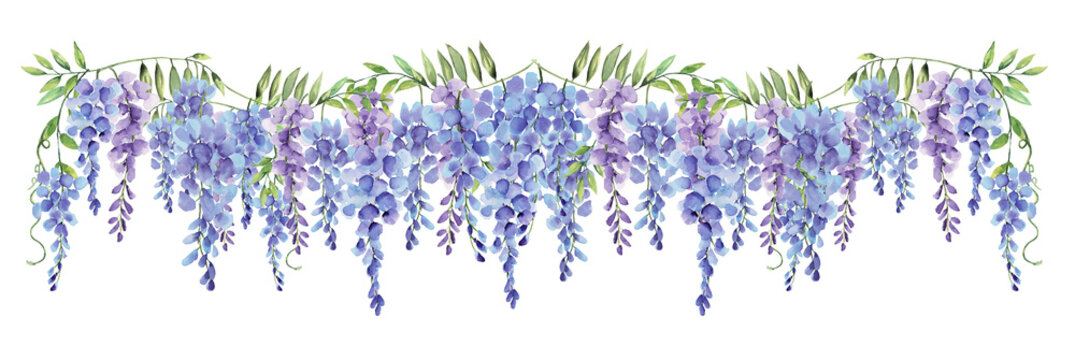 Wisteria Long Border Line Watercolor Hand Painted on Isolated White Background