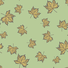 Leaves maple engraved seamless pattern. Vintage background botanical with canadian foliage in hand drawn style.