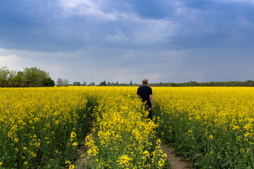 Man in the field of canola, rapeseed or colza in yellow bloom against the cloudy blue sky on a spring day, perfect rural scene or agriculture background.