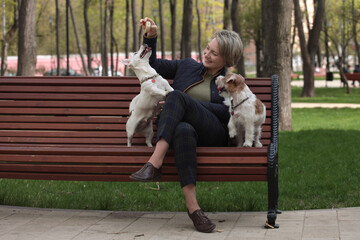Woman sitting in park with two jack russell terriers