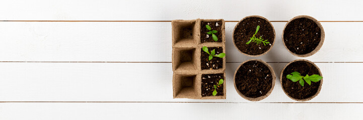 Potted flower seedlings growing in biodegradable peat moss pots. Top view on white wooden background. Zero waste, recycling, plastic free concept banner.