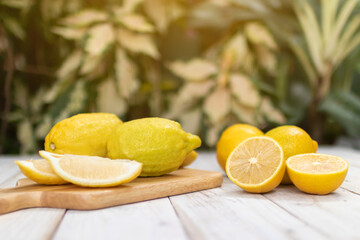 Eureka and Lisbon lemon on wooden table background.