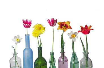 Flowers daffodils and tulips in colorful vases and bottles 