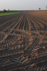 Rural countryside farming landscape with green meadow, field and trees and tire tracks in the evening in Mazovia district of Poland, Europe