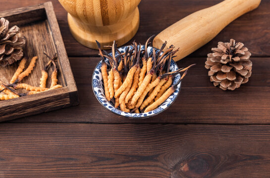 Photography of cordyceps sinensis, a nourishing Chinese herb