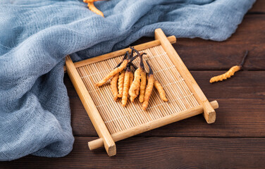 Photography of cordyceps sinensis, a nourishing Chinese herb © 大 李