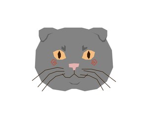 The head of a grey fold-eared cat with yellow eyes. The stylized face of a thoroughbred kitty. Vector illustration in a flat style.