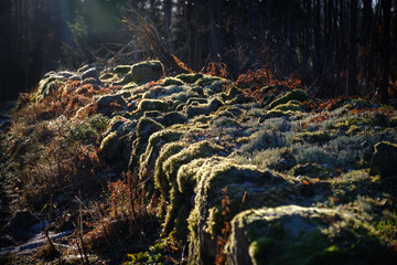 Old granite rock fence in Sweden