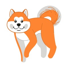 Cute Akita Inu looks ahead, puppy character. Vector illustration of Japanese breed of dog. Cartoon kawaii isolated on white. Pet, friend