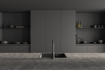 Front view on dark kitchen room interior with cupboard - obrazy, fototapety, plakaty