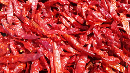 Top view of dried red chile peppers