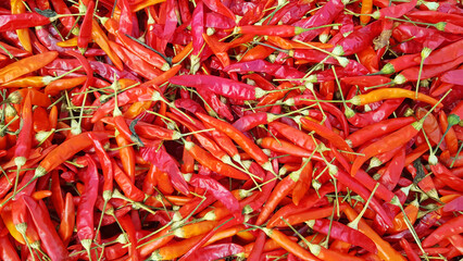 Top view of dried red chile peppers