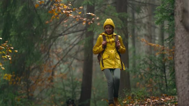 pretty woman in yellow jacket and beany with tourist backpack walking through wet autumn forest wild nature enjoying weekend hiking adventure. people in Ukraine nature outdoors.