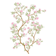 Obraz na płótnie Canvas Camellia blossom tree Clip art, element for design Vector illustration. In botanical style