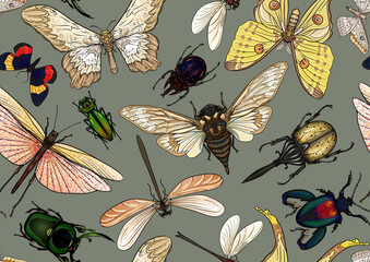 Set of insects: beetles, butterflies, moths, dragonflies. Etymologist's set. Seamless pattern, background. Vector illustration. In realistic style on military green, khaki background