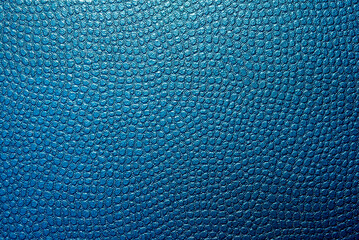 The blue leather skin texture background.