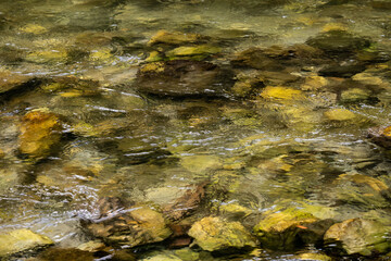 The mountain river. Rocks and clear water - texture