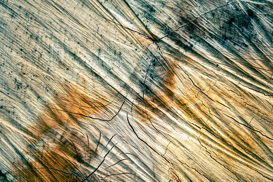 Baumstamm abstrakt Textur Baumschnitt Holzstruktur