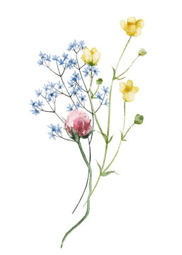Watercolor bouquet with wild flowers, twigs. Red, blue and yellow flowers. Hand drawn floral illustration