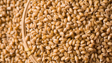 Uncooked bulgur wheat seed. Background and texture.