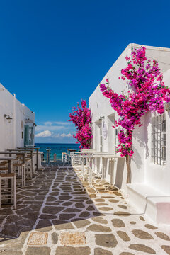Traditional Cycladitic view with an exterior of a bar besides the sea  during summer time in Naousa  Paros island, Greece