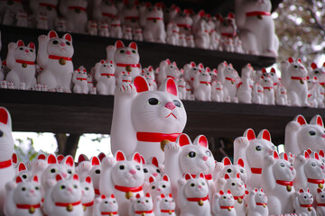 豪徳寺の招き猫