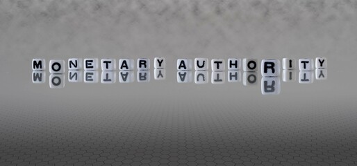 monetary authority word or concept represented by black and white letter cubes on a grey horizon background stretching to infinity - obrazy, fototapety, plakaty