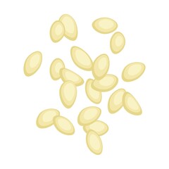 Raw nut, pumpkin seed. Vector illustration of food. Cartoon almond, hazelnut, pistachio, macadamia, pecan, peanut isolated on white