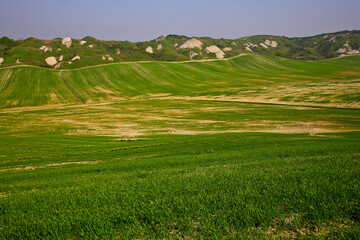 Naklejka premium Crete Senesi, panorami della provincia di Siena. Toscana