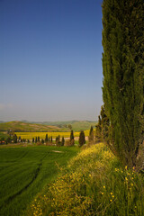 Naklejka premium Crete Senesi, panorami della provincia di Siena. Toscana