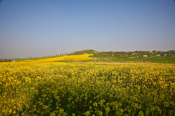 Crete Senesi, panorami della provincia di Siena. Toscana