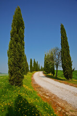 Crete Senesi, panorami della provincia di Siena. Toscana