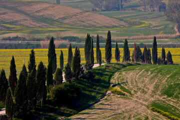 Crete Senesi, panorami della provincia di Siena. Toscana