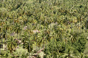 Landscape of Princess Lagoon Railay Beach in Railay Ao nang Krabi Thailand - sunny day summer - The lagoon is small and circular and is also enclosed by towering limestone cliffs