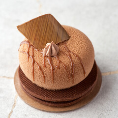 Mini mousse pastry dessert covered with chocolate velor on a stone background.