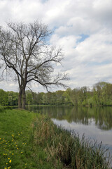 jungfernheidesee