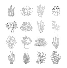 Trendy coral reef and seaweed vector collection. Underwater ocean plants line icon set. Aquarium algae, laminaria, kelp water life isolated on white background. © Nadezhda Mih