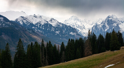 góry Tatry - widok z Rusinowej Polany - obrazy, fototapety, plakaty
