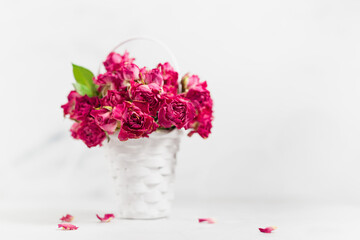 Vintage pink dry tiny roses in white wicker basket in airy soft light white interior with sunbeams, copy space. Holiday floral background with love, memory and nostalgia.