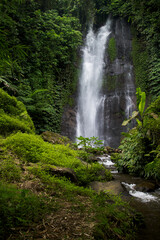 Bright summer high waterfall in deep wild jungle of Bali with saturated tropical green forest - plants, leaves, trees, moss and shining falling water, vertical.  Scenic landscape from travel.