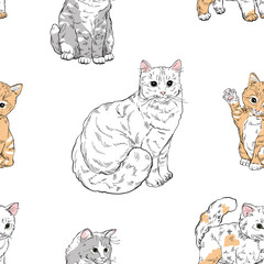 Seamless pattern with cat and cute kittens of white gray red color doodle style
