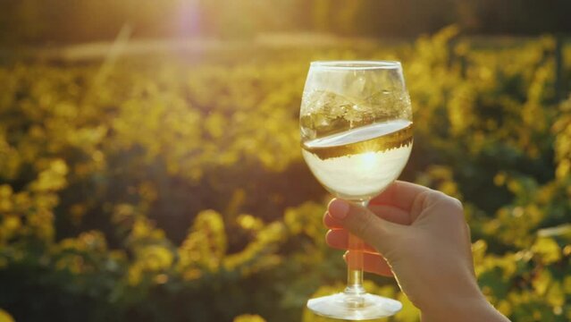 A hand with a glass of white wine slightly shakes it. Against the background of the vineyard in the sun. Wine tasting. Slow motion video