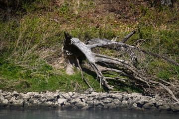 Danube breakthrough from Kelheim to Weltenburg monastery with rocks and the current of the Danube