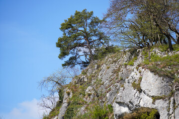 Danube breakthrough from Kelheim to Weltenburg monastery with rocks and the current of the Danube