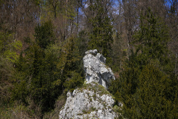 Danube breakthrough from Kelheim to Weltenburg monastery with rocks and the current of the Danube