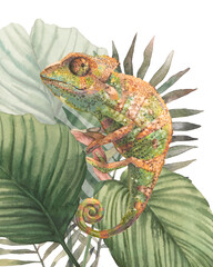 Watercolor chameleon artwork. Jungle animal design with reptile, tropical leaves and branches.