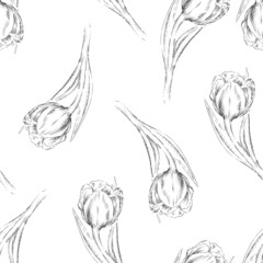 Seamless pattern with tulips flowers, black and white sketch style hand drawn vector illustration on white background. Tulips summer and spring decorative endless backdrop.