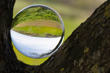 Focus on taking care of nature and the climate shown with nature encased in a crystal ball