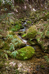 Obraz premium 日本の岡山県津山市の天狗岩への登山風景