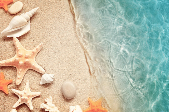 Sea sand with starfish and shells. Top view with copy space. Summer beach.